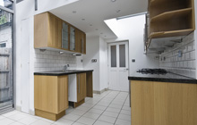 Shalford Green kitchen extension leads